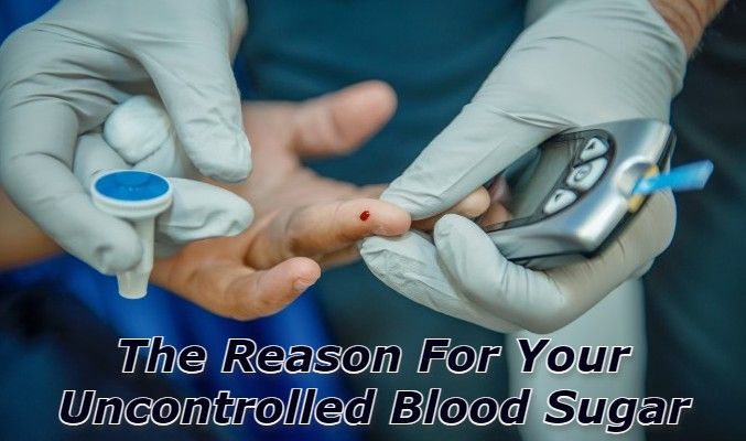 Diabetes Management Companies NC